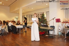 2012-12-31 Silvesterfeier (AKV)