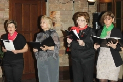 2013-11-17_sayat-nova_038